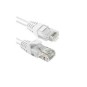 Cavo Rete UTP Cat. 6A 1Mt Bianco